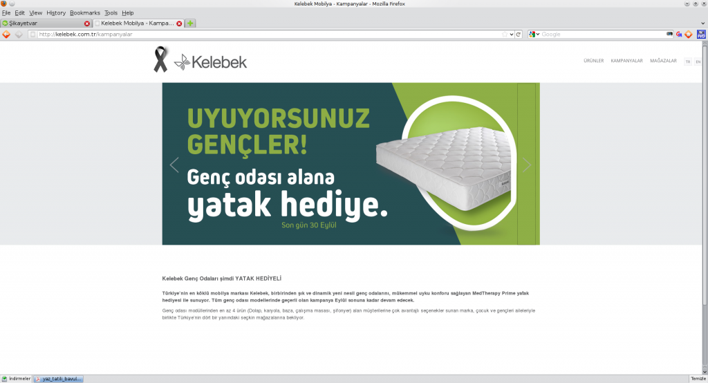 Bir hüsran hikayesi Kelebek Mobilya